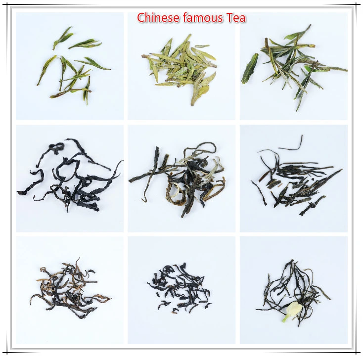 Oolong Tea Chinese Famous Brand Oolong Tea Benefits Tieguanyin Tea