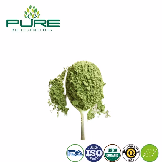 Polvo de té verde Magic Premium para salud y energía Matcha